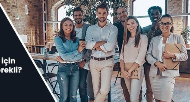 Bir Limited Şirketi (Ltd. Şti.) Kurmak İçin Neler Gerekli?